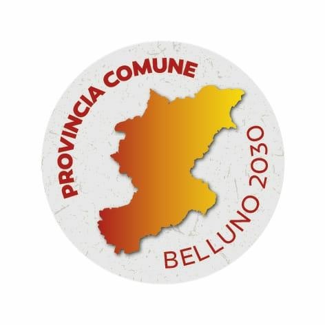 Logo lista Provincia Comune Belluno 2030